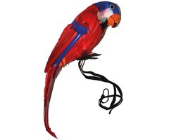 Papegaai decoratief rood