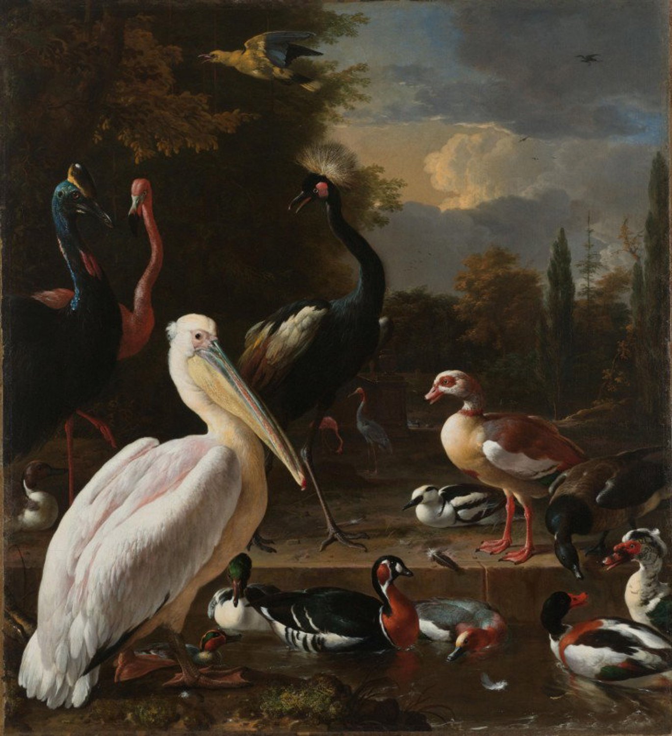 Vgdesign Watervogels klassiek schilderij 170x170 cm tuinposter banner VGDesign onbekend