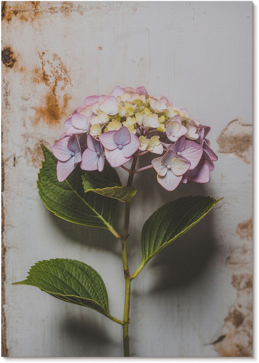 Tulup Polycanvas Wandposter - Roze Hortensia, Fotografie - A4 - Groen Illustratie - Rechthoek - Wandkunstwerk - Woonkamer, Slaapkamer, Kantoor - Klassiek