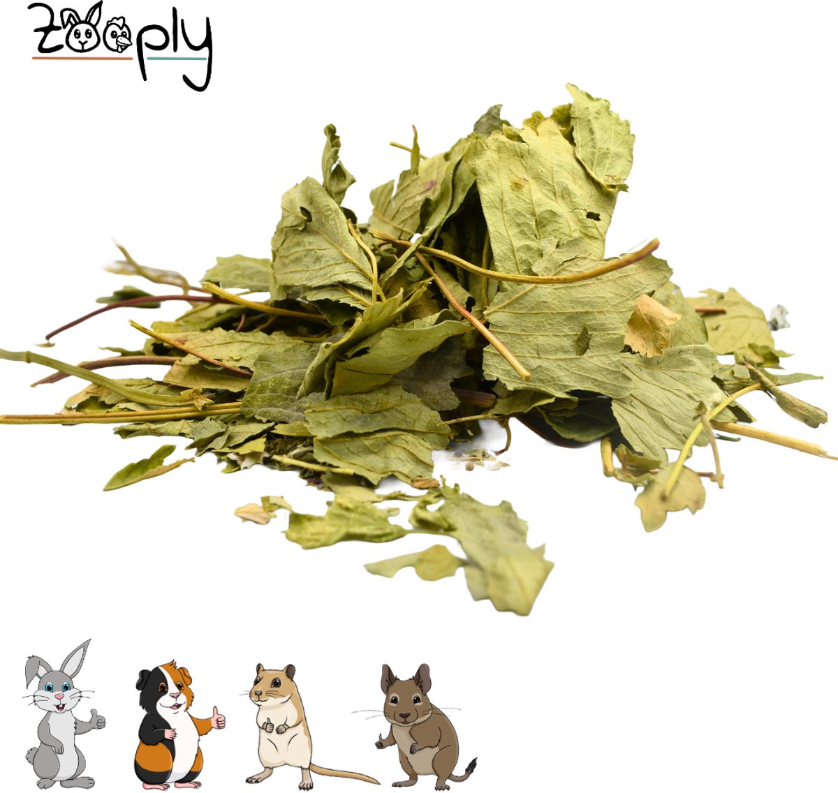 Zooply Aardbeiblad - Kruiden & Snacks - 100% natuurlijk - Voor konijnen & cavia's - 300 gram