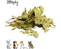 Zooply Aardbeiblad - Kruiden & Snacks - 100% natuurlijk - Voor konijnen & cavia's - 300 gram