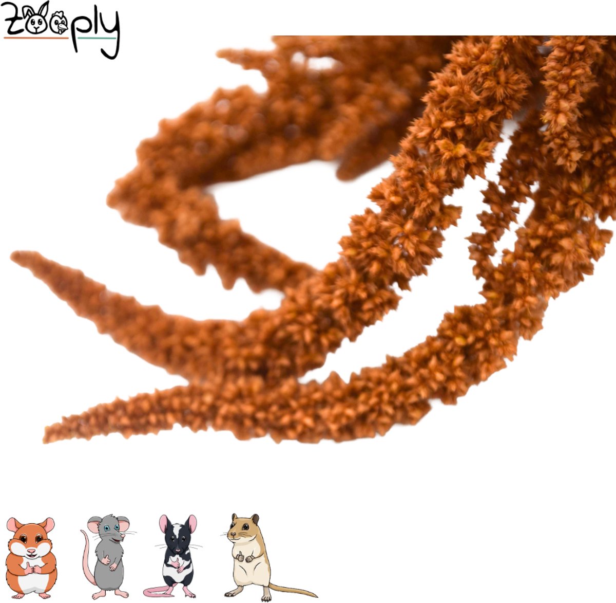 Zooply Amarant - Oranje - 70 gram - in koker
