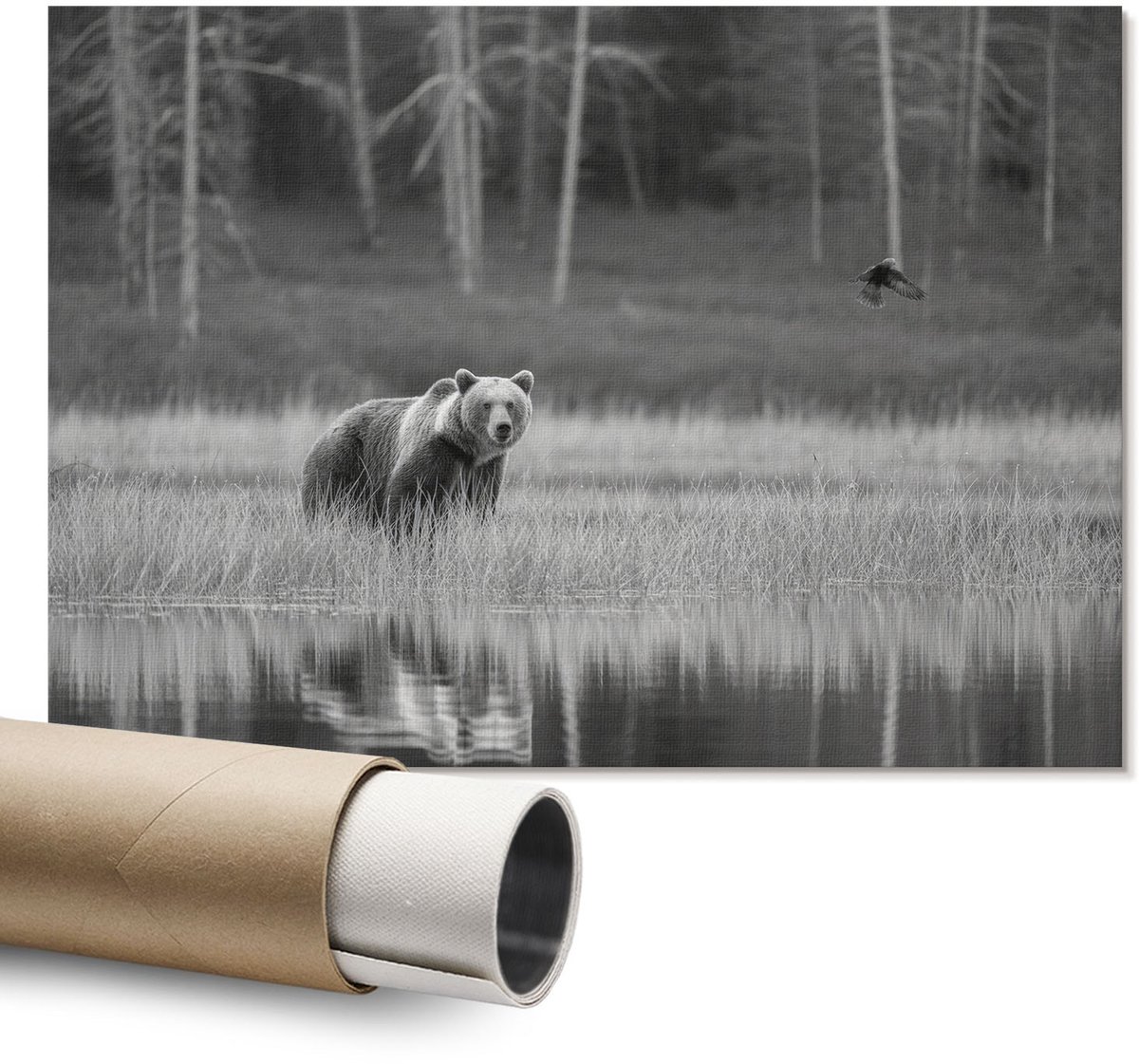 Coloray Polycanvas Wandposter – Boslandschap, Zwart-Wit – A1 – Grijs Decoratie – Rechthoek – Wandkunst – Kantoor – Industrieel