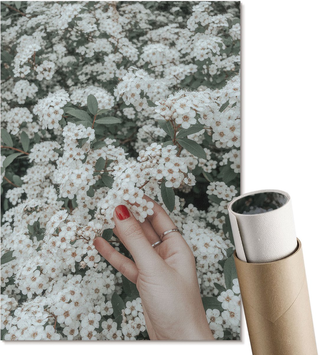 Coloray Polycanvas Wandposter - Bloemen In De Hand, Fotografie - A4 - Wit Decoratie - Rechthoek - Canvasposter - Woonkamer, Slaapkamer, Kantoor - Klassiek