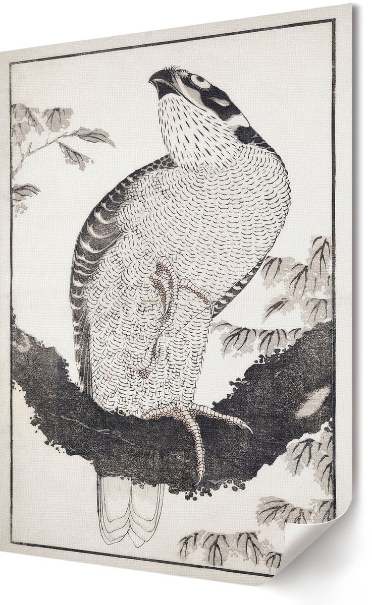Coloray Polycanvas Wandposter - Vogelportret, Fotografie - A2 - Zwart-wit Motief - Rechthoek - Wandkunstwerk - Woonkamer, Slaapkamer, Kantoor - Klassiek