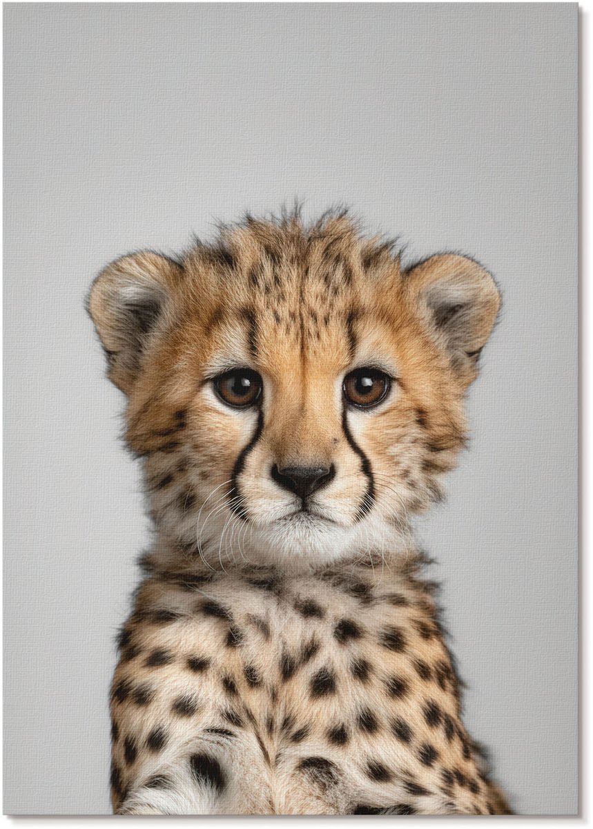 Tulup Polycanvas Wandposter - Jonge Cheetah, Fotografie - A4 - Beige Poster - Rechthoek - Interieurdecoratie - Woonkamer, Slaapkamer, Kantoor - Modern