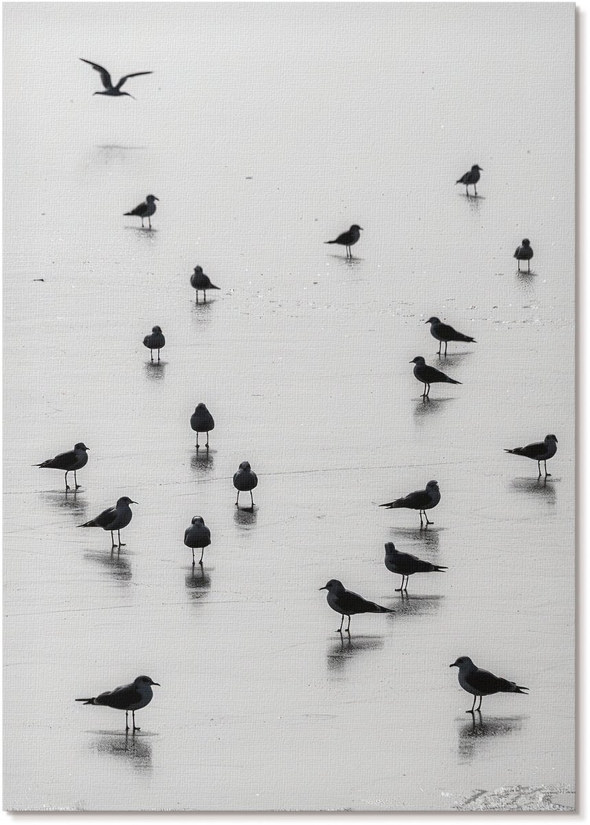 Tulup Canvas Poster Polycanvas - Windmolen Aan Zee, Oranje - A4 - Zwart-wit Decoratie - Rechthoek - Decoratieve poster - Kantoor - Minimalist