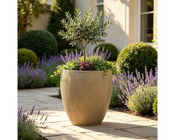 MIVRAY Bloempot – Extra Groot En Vorstbestendig – Ø46 X 53 Cm – Keramiek – Beige – Voor Binnen Balkon En Tuin – Met Drainagegaten