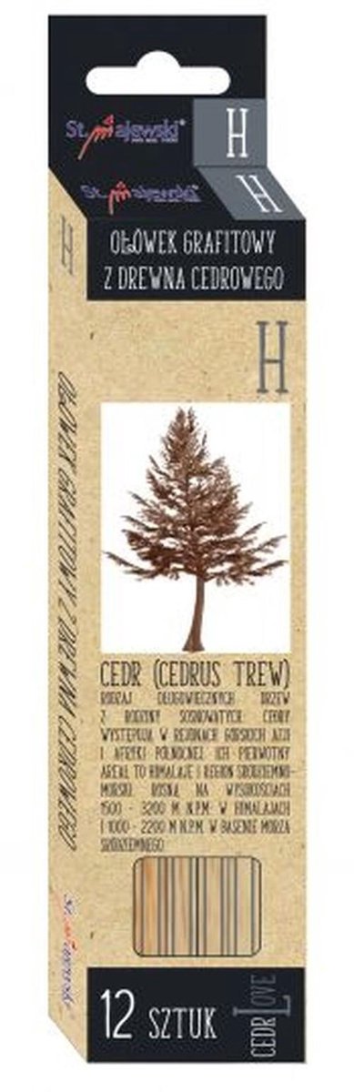 Houten Tekenpotloden Set - 12 Stuks - Hardheid H