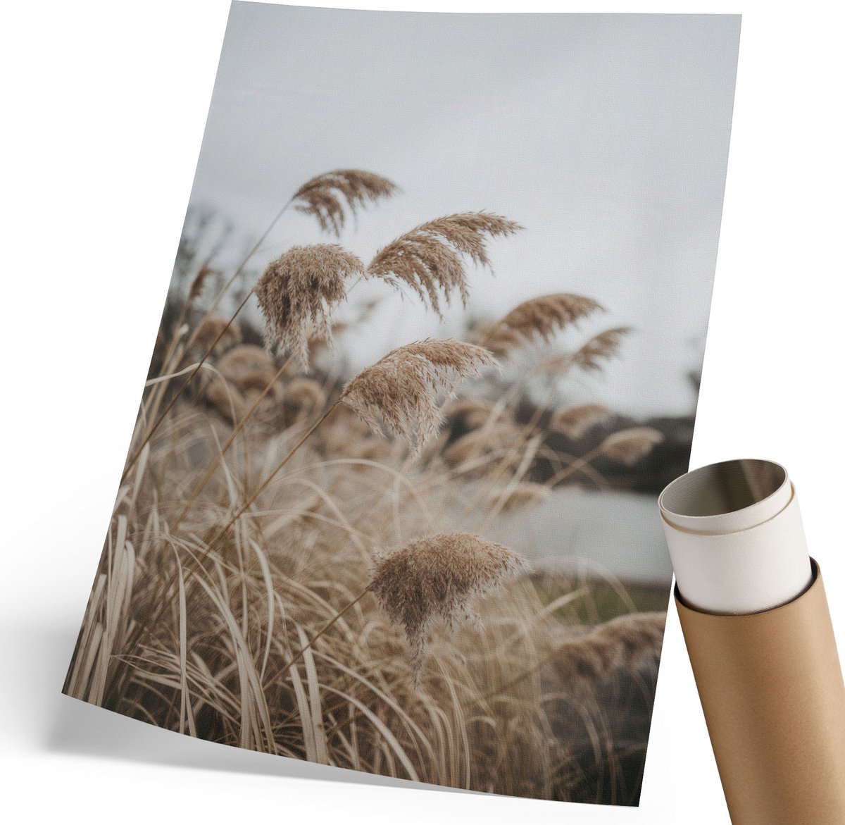 Coloray Polycanvas Poster - Vreedzame Grassen, Fotografie - 210 x 297 mm - Bruin Illustratie - Rechthoek - Kunstposter - Woonkamer, Slaapkamer, Kantoor - Rustiek