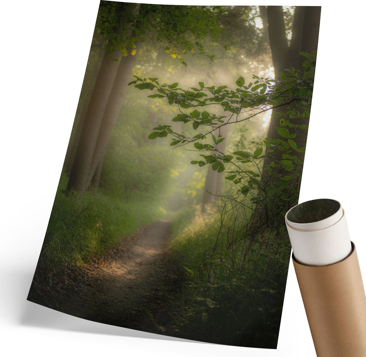 Coloray Polycanvas Wandposter - Bosvrede, Fotografie - 210 x 297 mm - Groen Wanddecoratie - Rechthoek - Interieurdecoratie - Woonkamer, Slaapkamer, Kantoor - Klassiek
