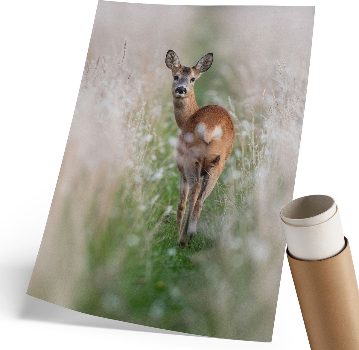 Coloray Polycanvas Poster - Avondkanaal, Oranje - 210 x 297 mm - Groen Wanddecoratie - Rechthoek - Kunstposter - Slaapkamer - Klassiek