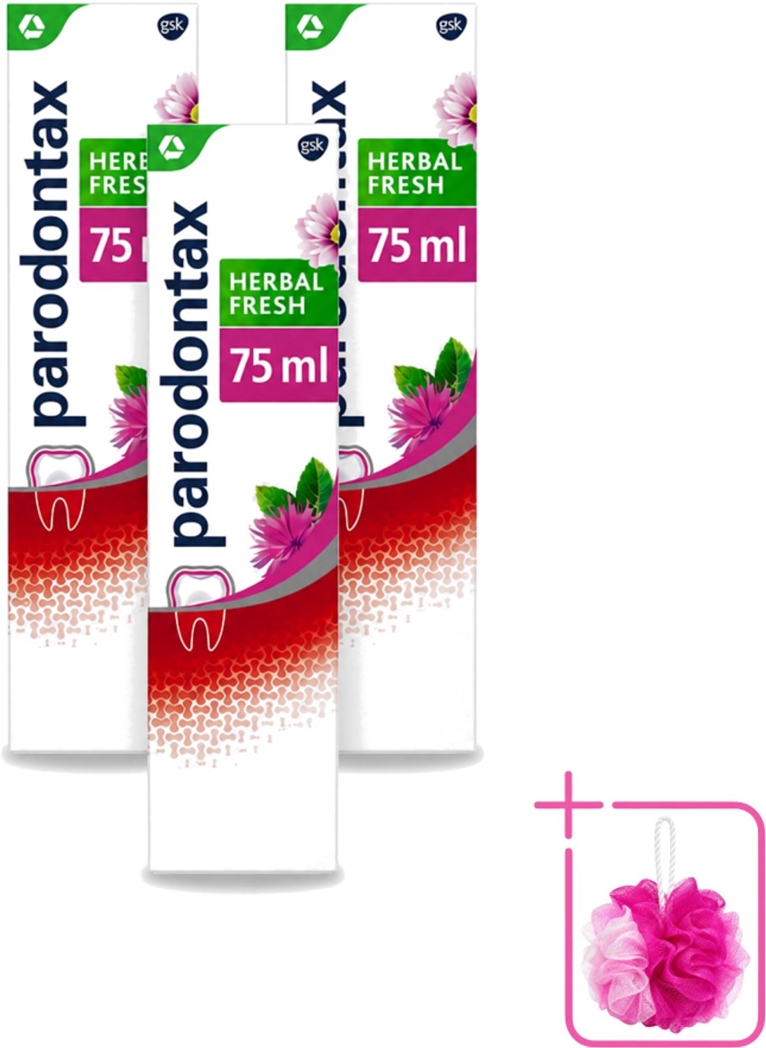 3 x Parodontax - Tandpasta - Herbal Fresh - Bergamot & Mint - 75ml - Bulkverpakking - Tandvleesgezondheid - Douchemop - Tandpasta