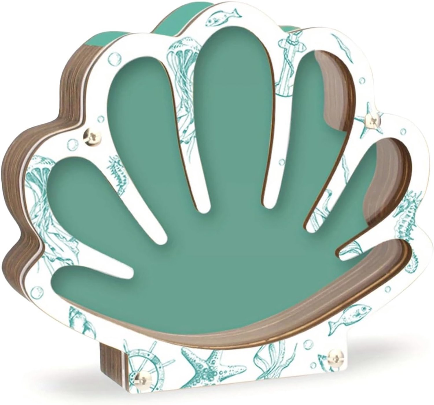 Schelp display transparante decoratieve bescherm- en tentoonstellingshouder