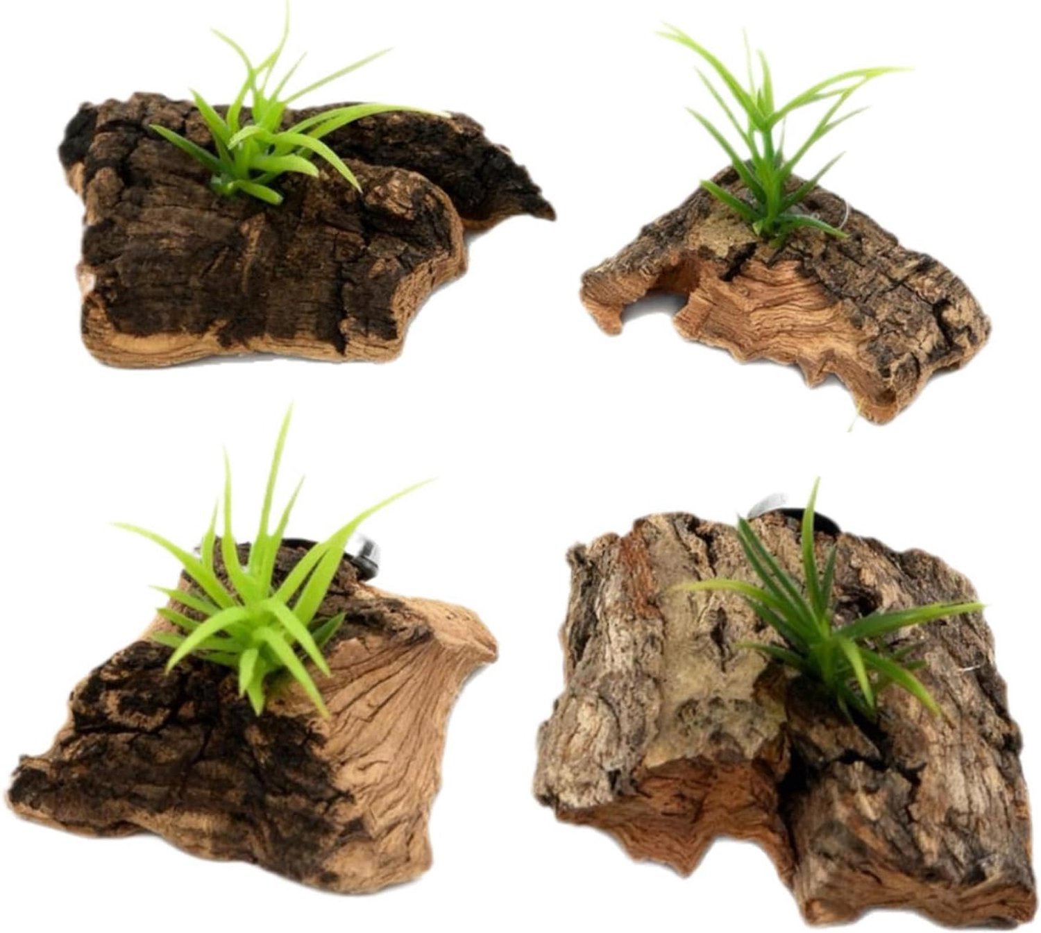 Spinnen behuizing accessoires reptielen tank decor onderdak