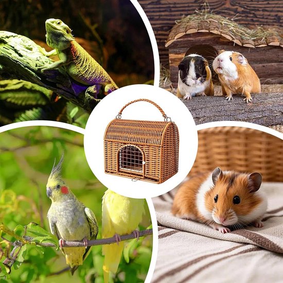 Reptiel Carrier Handvat Dragen Slaaphuis — afbeelding 2