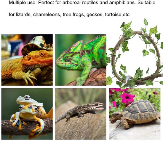 Reptiel Klimplant Flexibel Jungle Decor 3,28ft Rotan met Scindapsus Bladeren voor Hagedissen Kameleons 's Boomkikkers Schildpad Aquarium Terrarium Decoratie (Rotan + klimopbladeren) — afbeelding 5