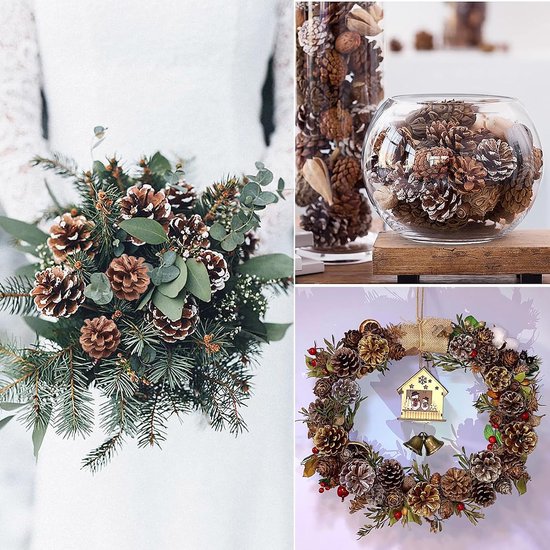 24 stuks natuurlijke dennenappels sneeuw dennenappel voor kerstboom slinger krans ornamenten dennenappels decoreren winter vakantie huis (primaire kleuren, wit) — afbeelding 5