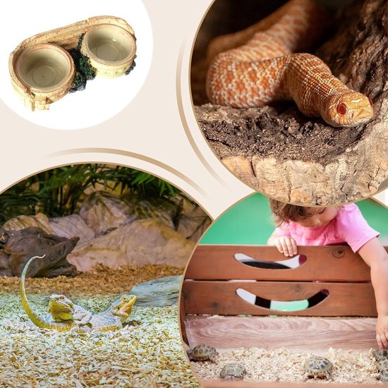 Reptiel Voerbak Transparante Kom — afbeelding 5