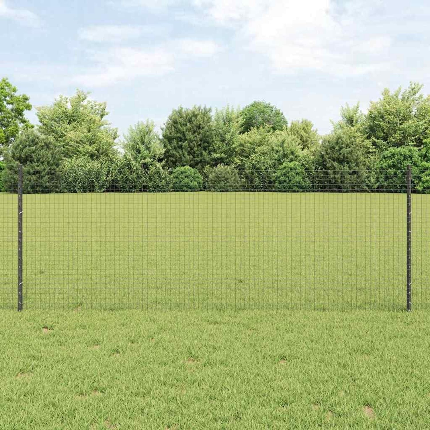 Gelaste draadhek, tuinhek net grijs 10 x 0,8 m