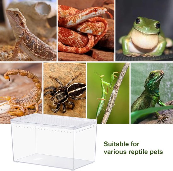 Reptiel PC Terrarium 10,2" x 5,9" x 5,7" Full View Reptiel Aquarium Tank Starter Kit voor Insecten Plant Gecko Spider Habitat Amfibieën Behuizing met Hide Cave Feeding Bowl — afbeelding 5