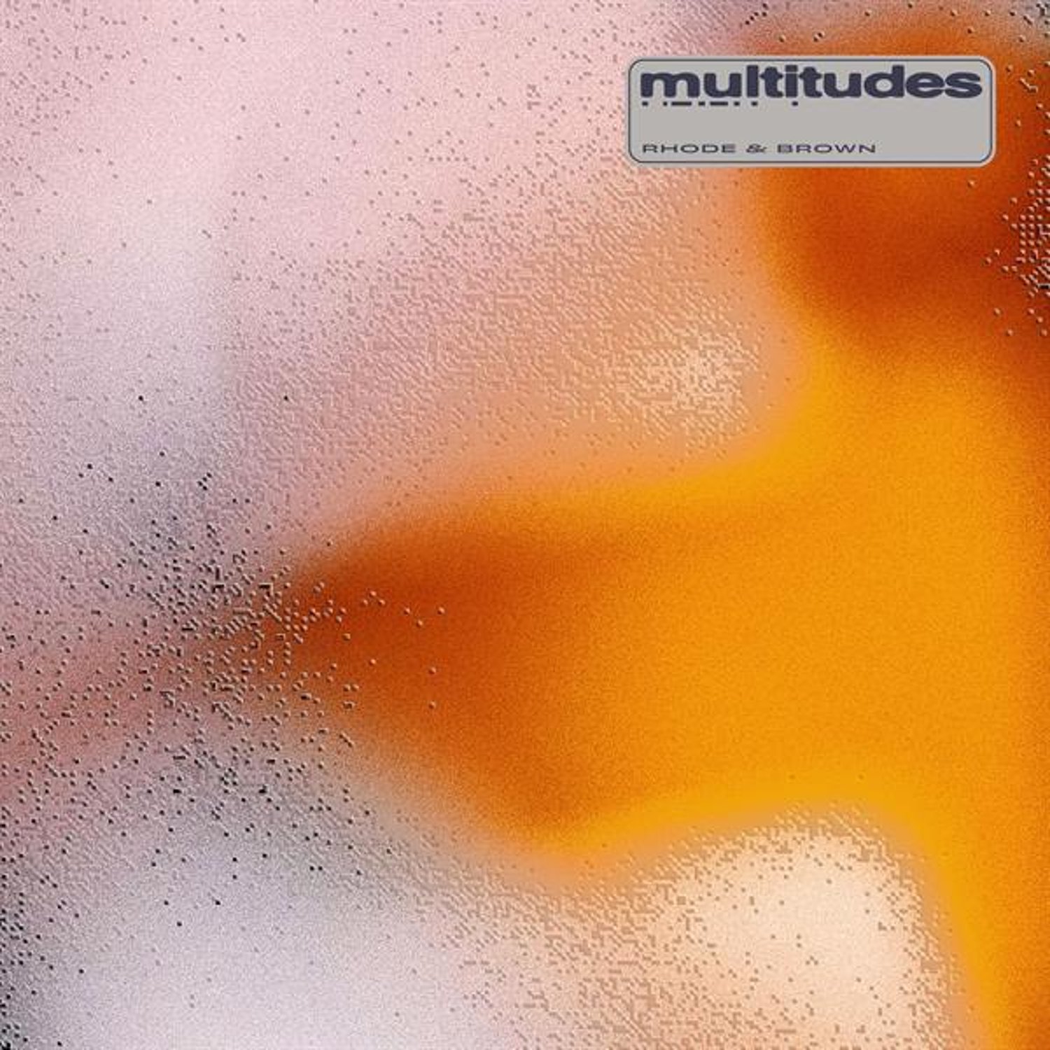 Multitudes
