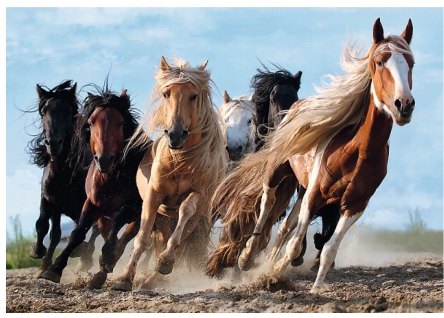 Trefl Shaped Puzzel - Paarden, 594 Stukjes