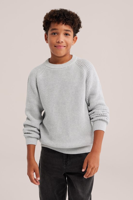 WE Fashion Jongens gebreide trui met structuur