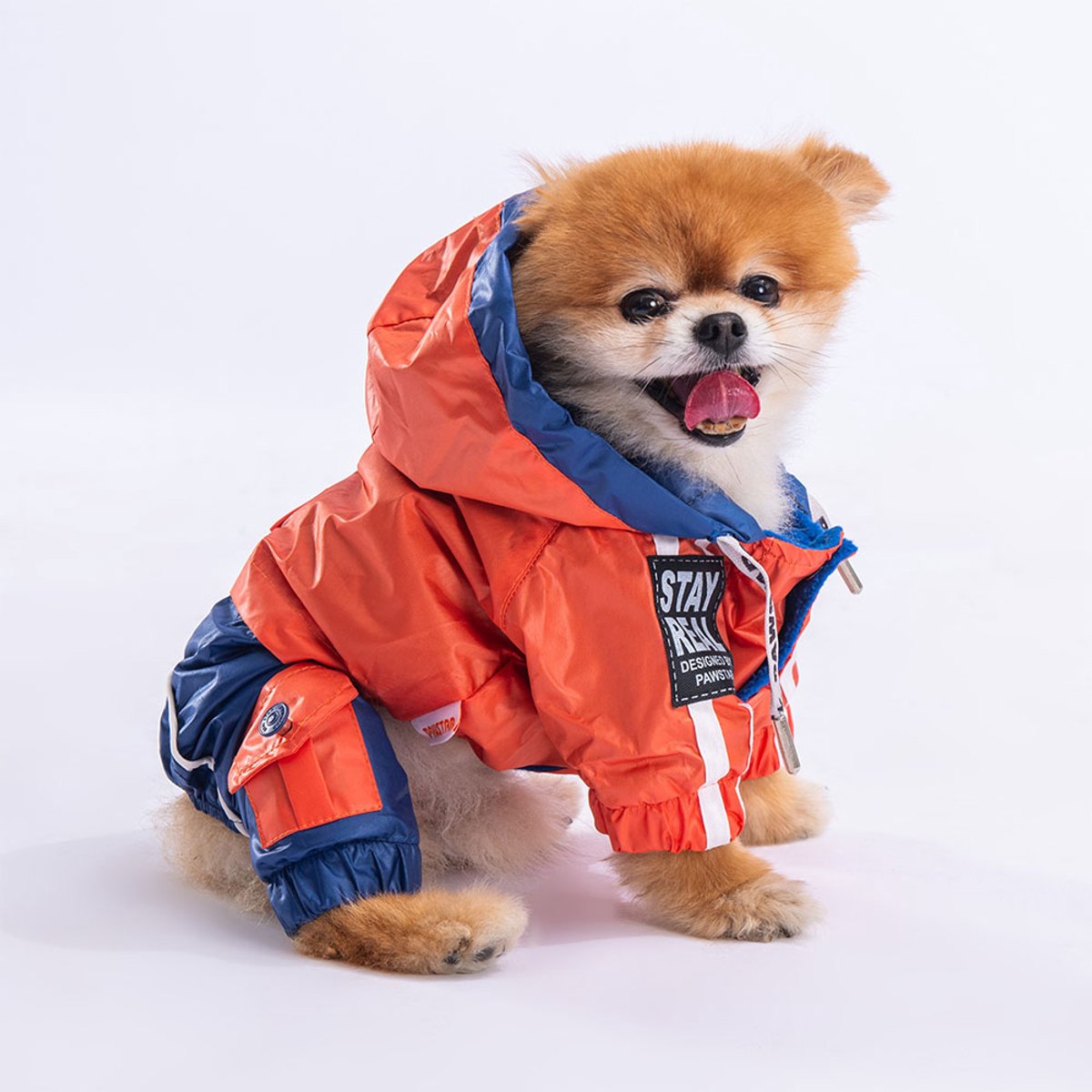 Pawstar BiColor - Hondenoverall - Oranje/Donkerblauw - M