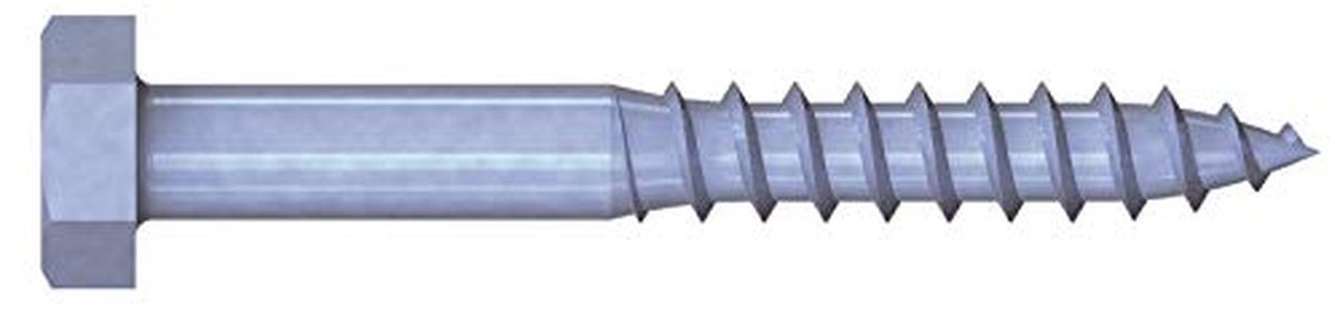 Verzinkte Houtschroeven 10 x 40 mm (Verpakking van 100)