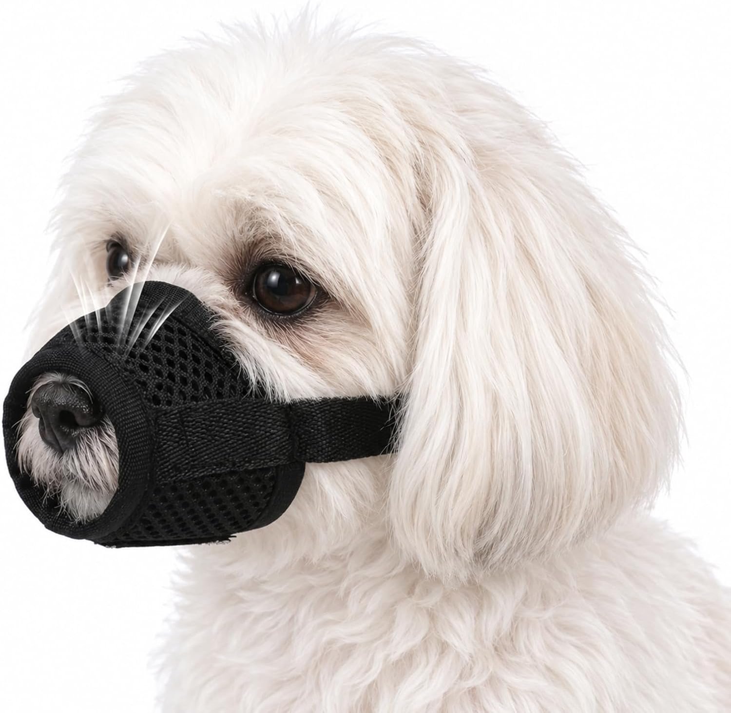 Muilkorf kleine honden - verstelbaar - ademend nylon mesh - bescherming tegen giftige aas - m-winkel