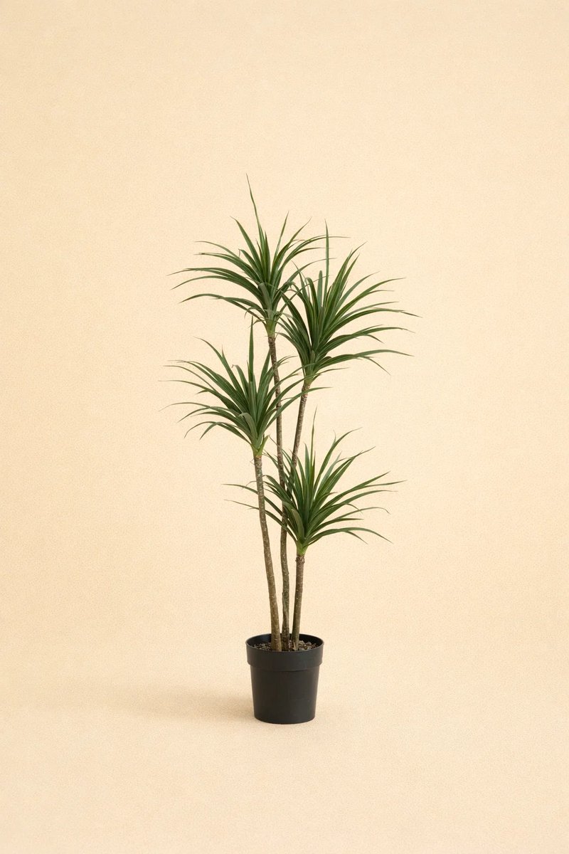 plantenkopen.online Onlineplantenkopen - Kunstplant Dracaena - Dracaena - Kunstplanten voor binnen - Onderhoudsvrij - Nep plant - 165 cm hoog - Kunstplanten Groen
