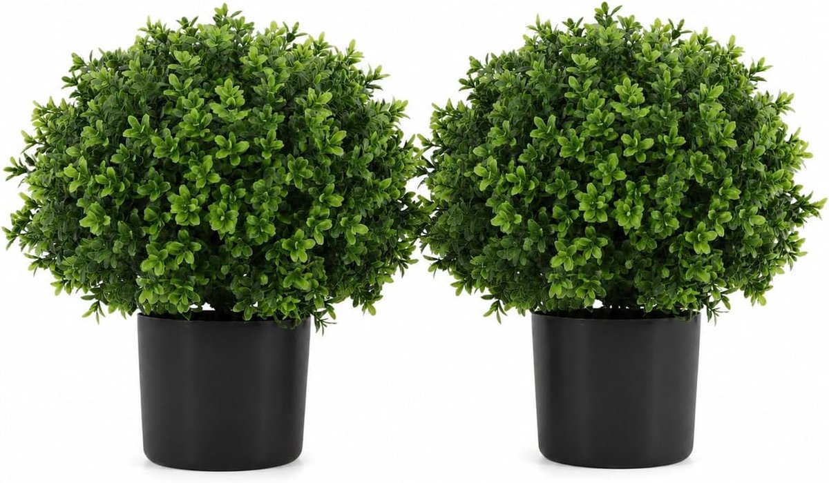 Set van 2 buxusballen, 56 cm, in pot, uv-bestendig, voor binnen