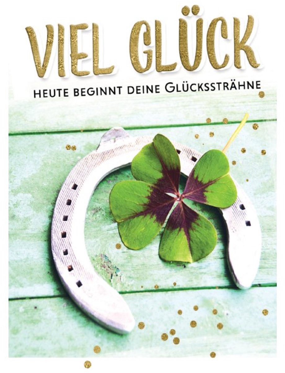 SUSY CARD verjaardagskaart Kleeblatt, 115×170 mm, bruine envelop
