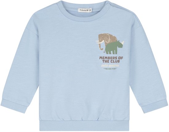 Lichtblauwe sweater met olifant en neushoorn print en de tekst "MEMBERS OF THE CLUB, extra awesome, THE BIG FIVE".