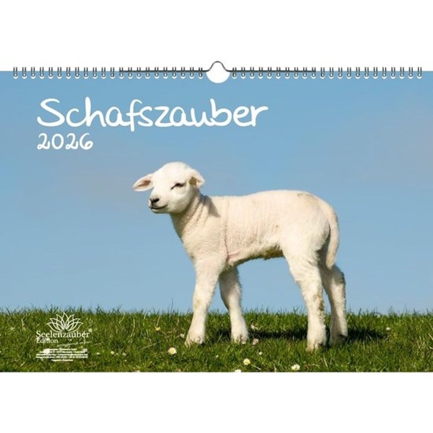 Wandkalender A3 2026 met Schapen en Lammetjes - Maandkalender met Foto's