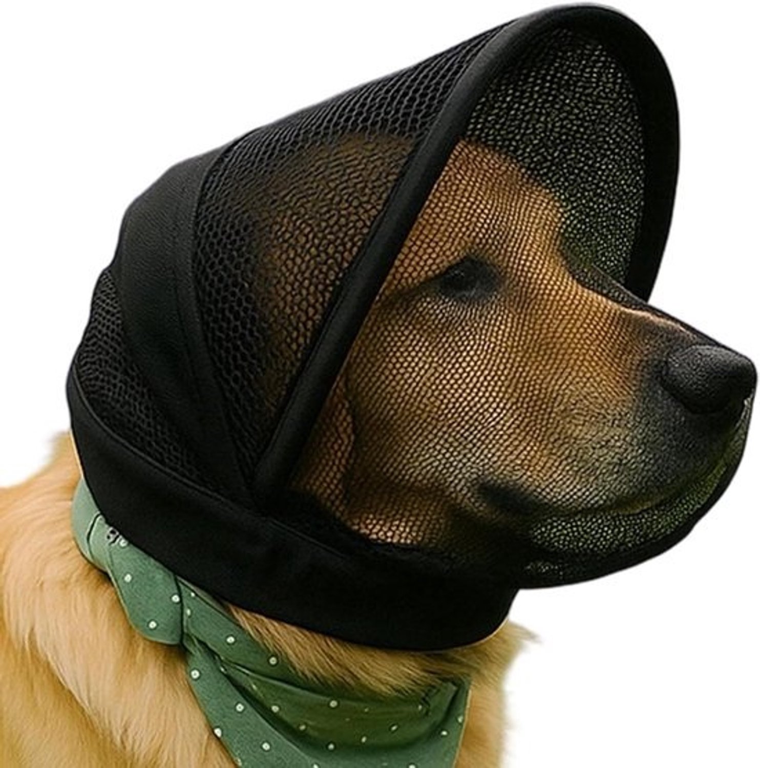 Gaaskap Voor Honden - Hondenmasker Gezichtsbescherming - Voorkomen Kauwen - Ademende Mesh-technologie - Maat M - Zwart
