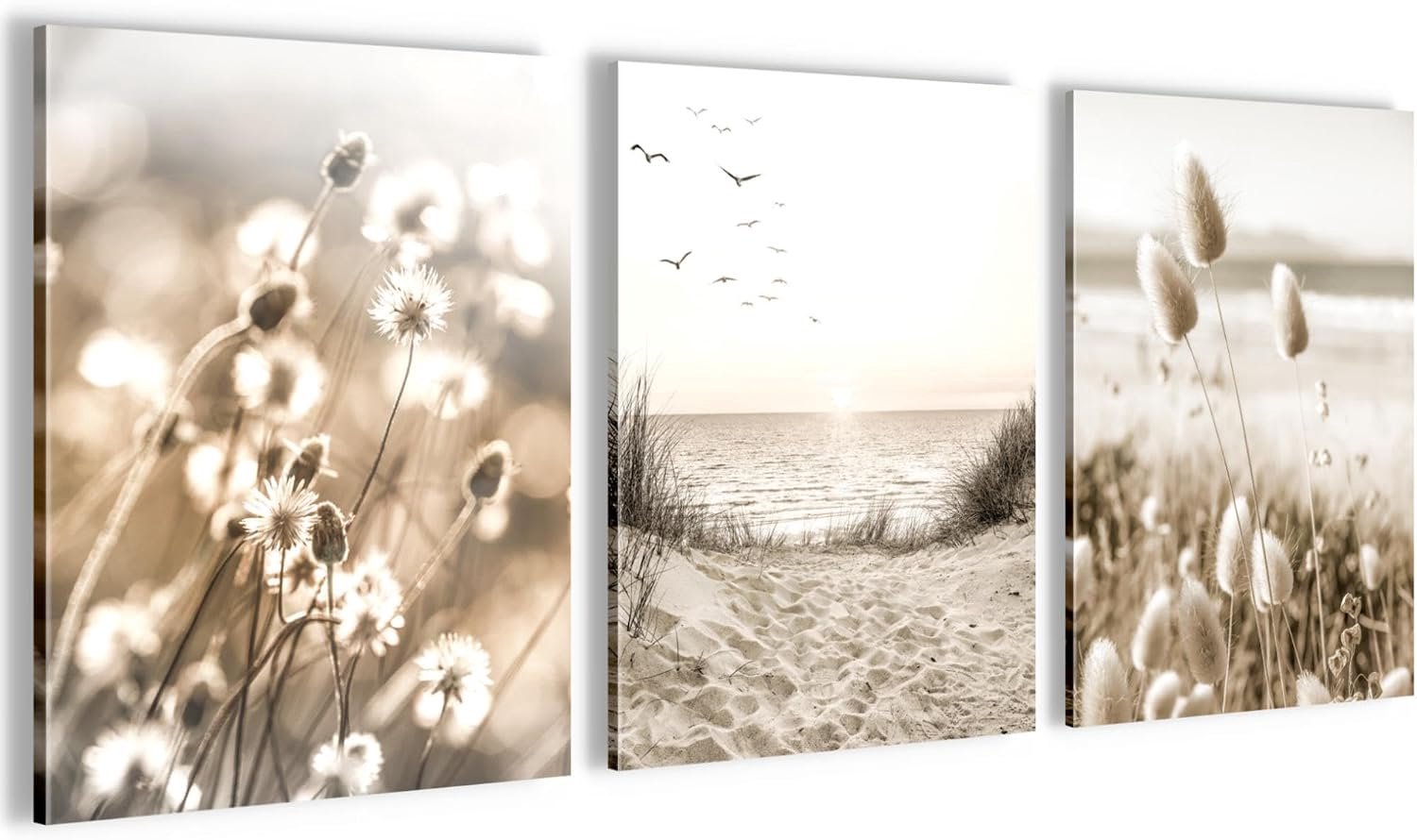 Wanddecoratie bloemen planten - 3 moderne schilderijen - boho stijl - perfecte interieur sfeer - ShopVlot