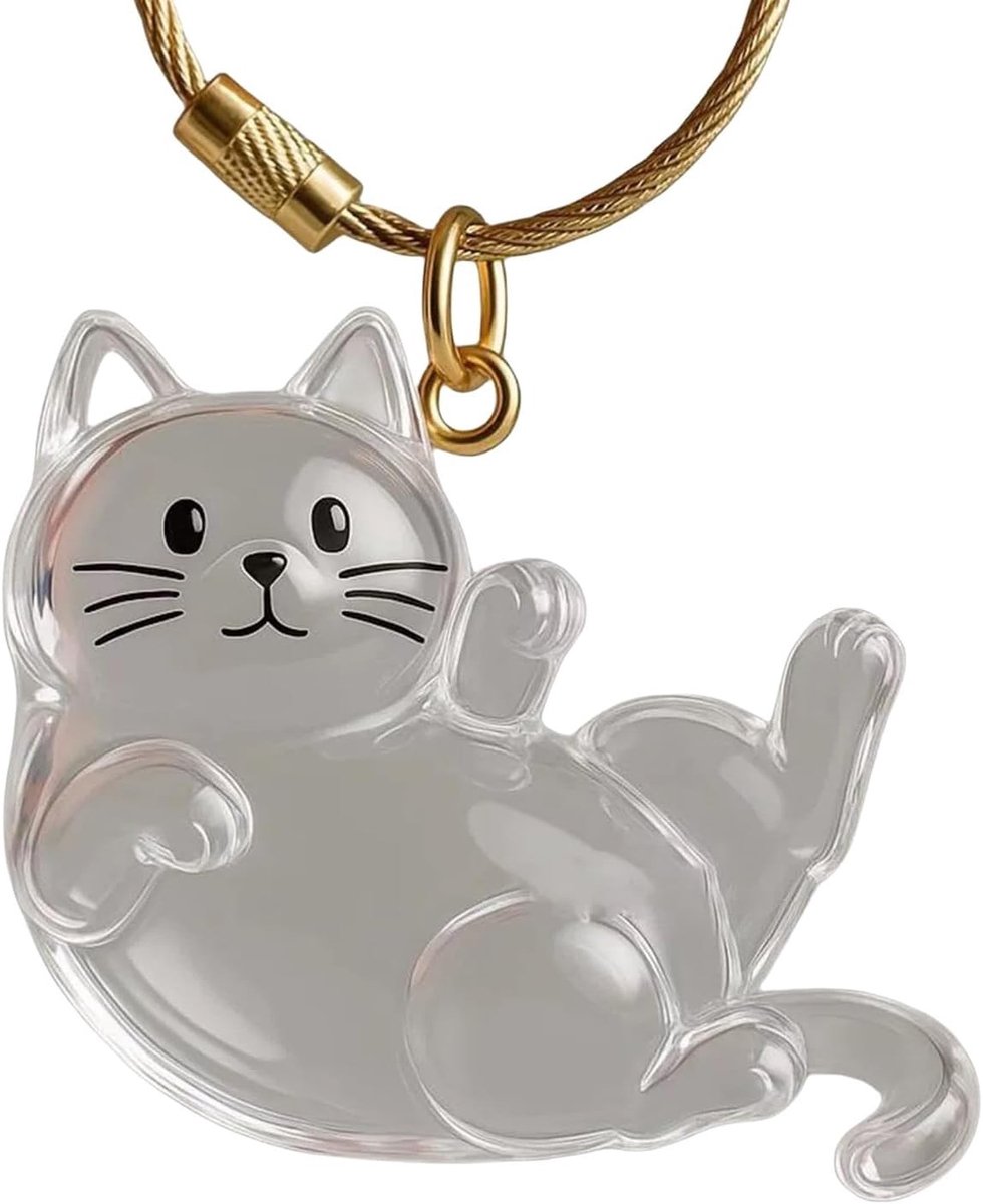 Haaropslagbox van helder acryl voor katten met cartoon sleutelhangerontwerp en verzamelaccessoires voor huisdierenvacht
