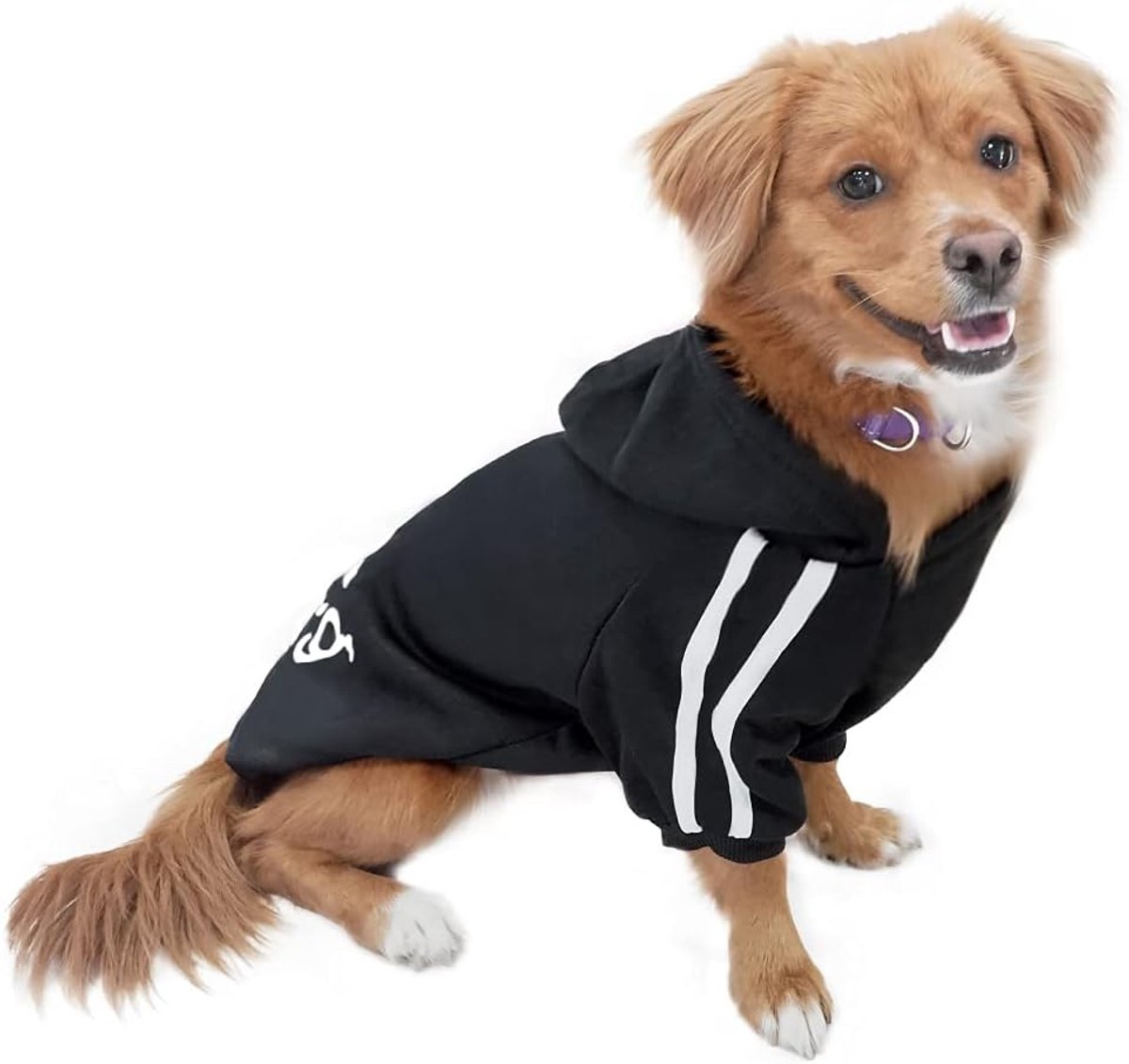 Sweater Hondenkleding, hondenjas, zwart, maat XXL