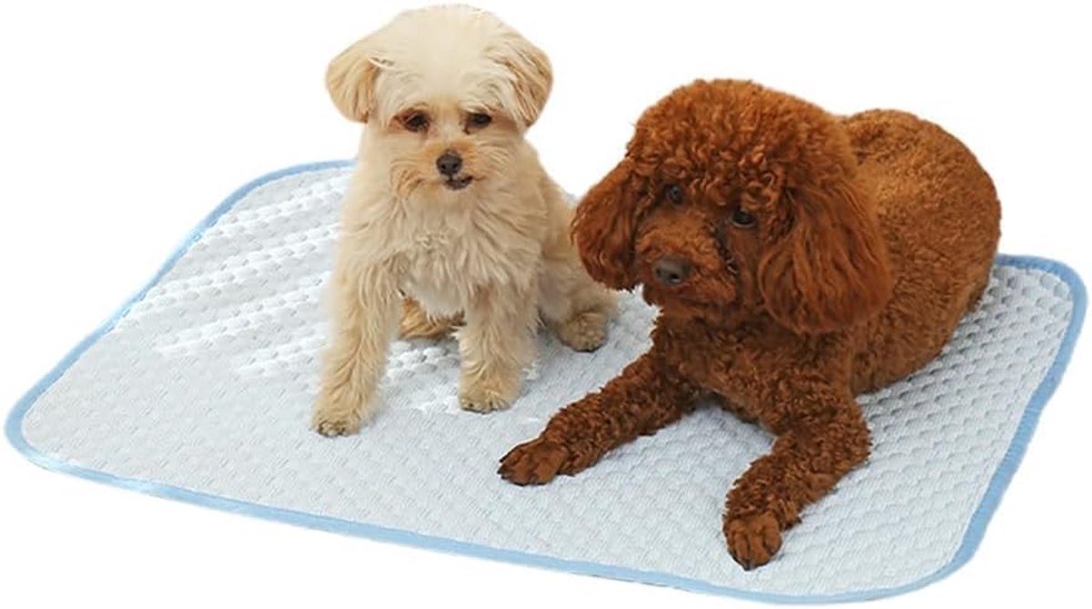 Koelmat voor honden, rechthoekig, verkoelend, kat, koelmat, hondenkoelmat, zelfkoelend, voor de zomer (55 x 70 cm)