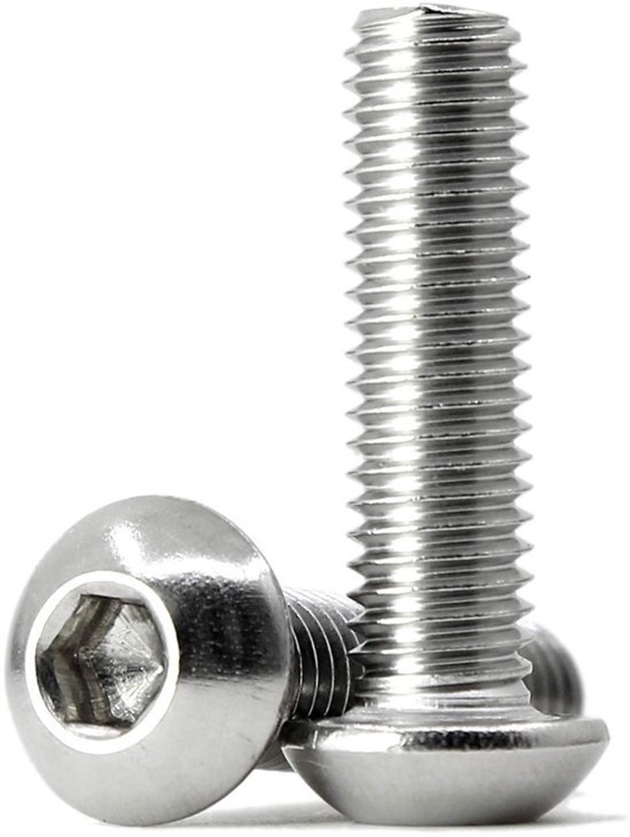 Lenskopschroeven - Binnenzeskantbouten - Voor het bevestigen van onderdelen - Roestvrij staal 304 - M6 x 50 mm - Zilverkleurig