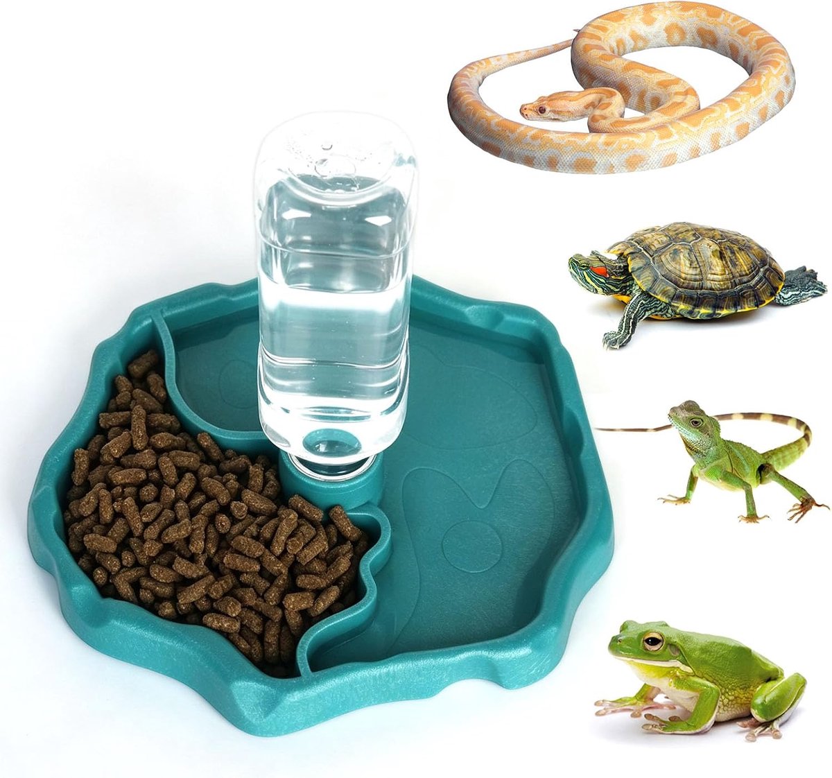 Voederbak voor reptielen en schildpadden, terrarium, waterdispenser, geschikt voor schildpadden, gekko's, slangen, kikkers enz. Reptielenhuisdieren (blauw)