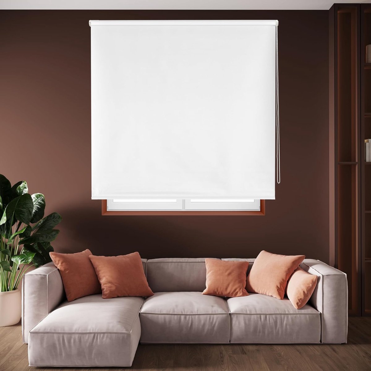 Rollo Draco 120X230 Ruw