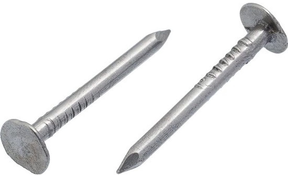 Daknagels met Grote Kop voor Vilt en Dakbedekking - 3x35 mm Staal (100 Stuks)