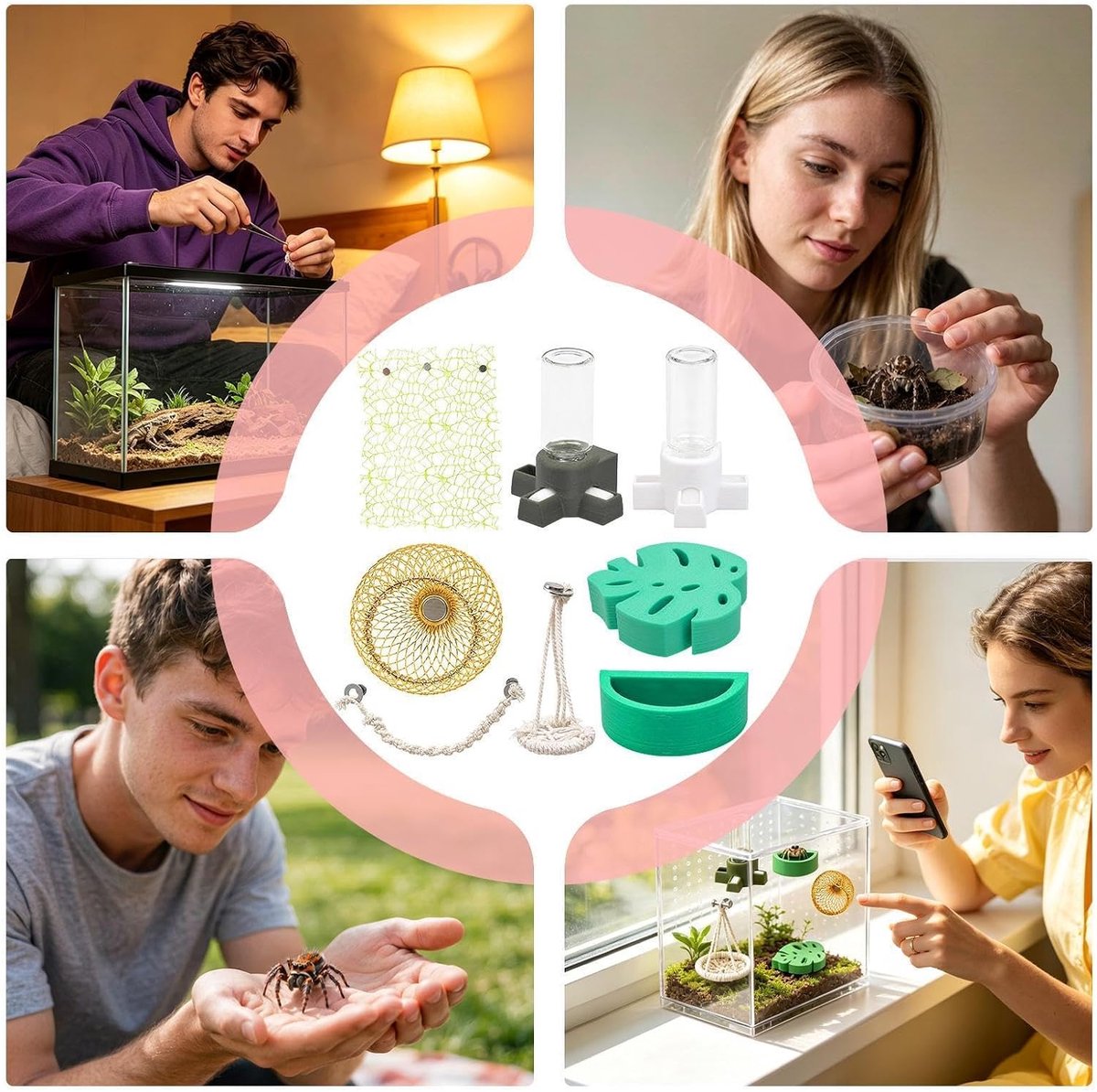 Verblijf Voor Springspinnen Magnetische Terrariumdecoratie En Benodigdheden