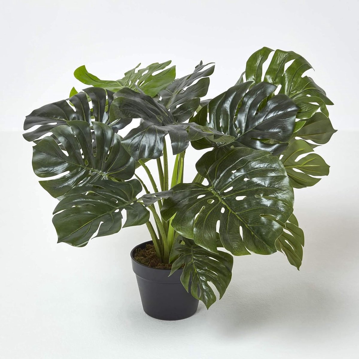 Grote Kunstmatige Monstera Boom 60 cm hoog met houteffect Trunk Replica Zwitserse kaasplant in zwarte pot met Faux Mos Indoor Realistische Plant voor thuis of op kantoor decoratie
