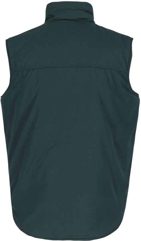 Donkergroene bodywarmer, achterkant zichtbaar, hoge kraag, lange rug.