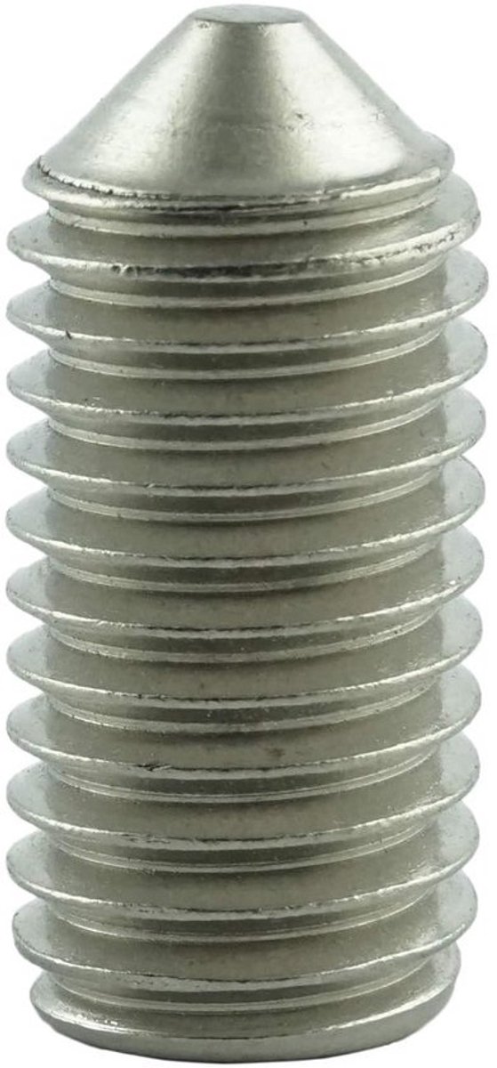 Set van 10 Stuks Stelschroeven M6 x 10mm met Binnenzeskant en Punt - Roestvrij Staal A2