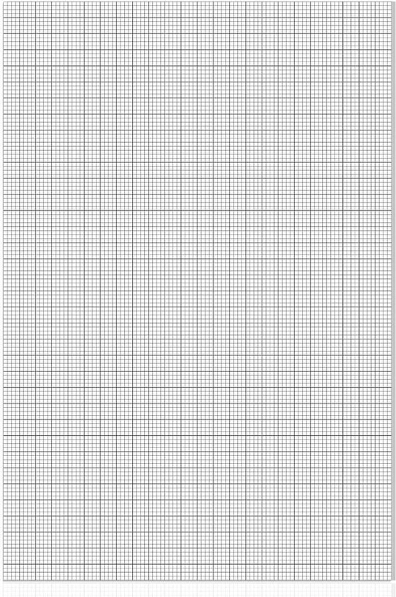 Grafiek Papier Bulk - Grid Papier Vellen - Tekenen en Ontwerpen - Extra Groot Formaat - 30 Vellen 24x36 Inch